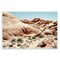 Stupell Industries Arid Desert Scenery Wall Plaque Art Design by Debbie O'dell